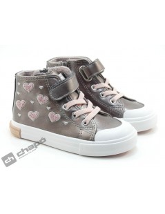 OSSH 127022 COSH 264024