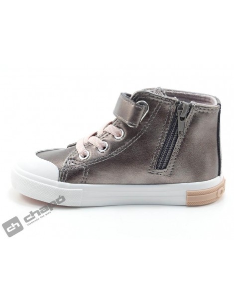 OSSH 127022 COSH 264024