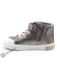 OSSH 127022 COSH 264024