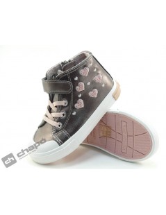 OSSH 127022 COSH 264024