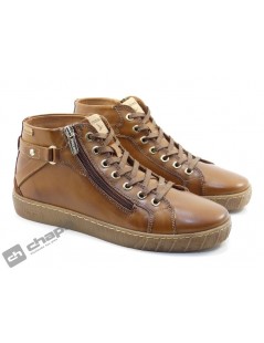 W7B 8868C1 LANZAROTE