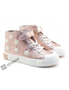 OSSH 127021 COSH 2642023