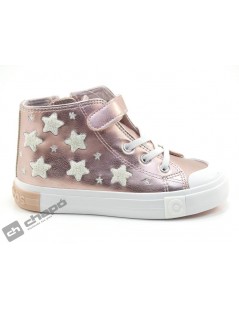 OSSH 127021 COSH 2642023