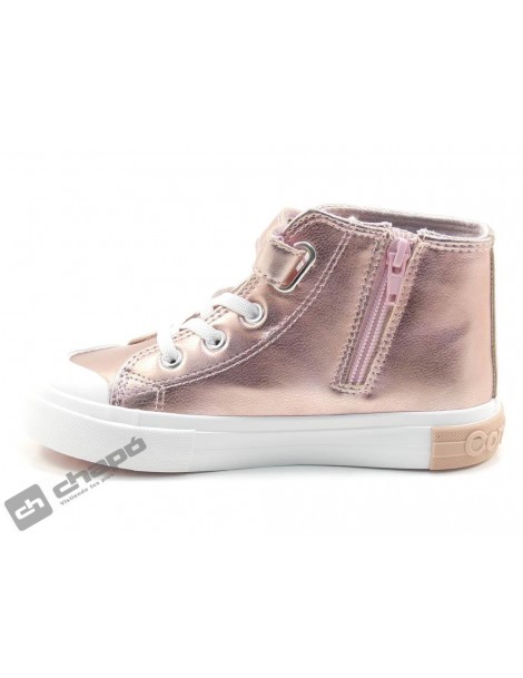 OSSH 127021 COSH 2642023