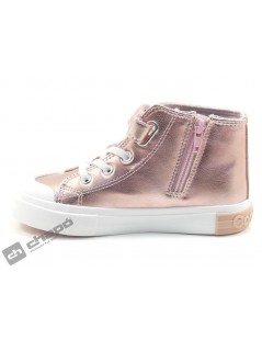 OSSH 127021 COSH 2642023