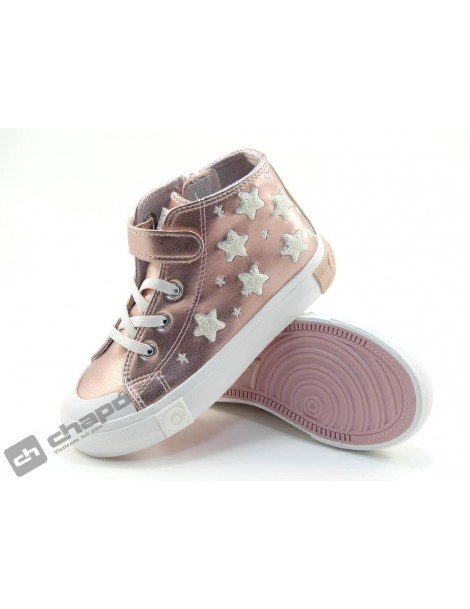 OSSH 127021 COSH 2642023