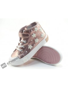 OSSH 127021 COSH 2642023