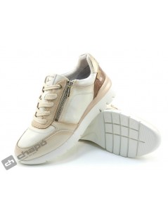 W4R 6524 C2 CANTABRIA