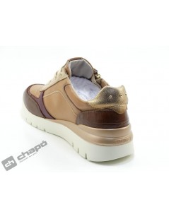 W4R 6524 C3 CANTABRIA