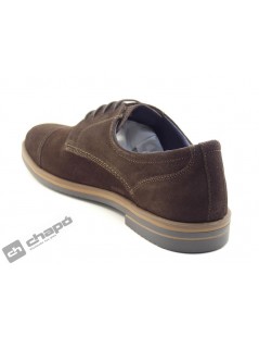 DOUGLAS 1604 2729X DEP