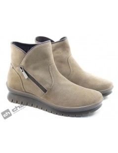 8658655 DYKGT 86586 gorex