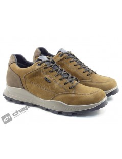 8629544 UELGT 86295 gorex