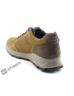 8629544 UELGT 86295 gorex