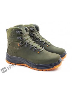 CEDRO 01 GORE TEX