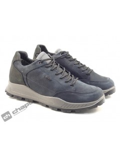 8629533 UELGT 86295 gorex