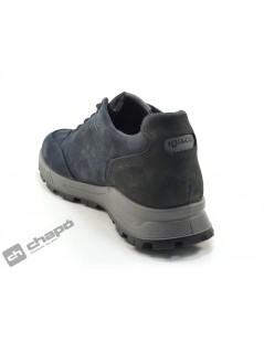 8629533 UELGT 86295 gorex