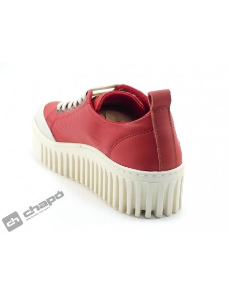 1534 NYLON