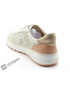 WOC 6621C1 ARENAS