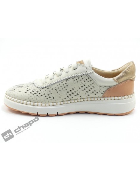 WOC 6621C1 ARENAS