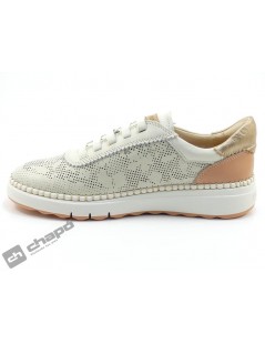 WOC 6621C1 ARENAS