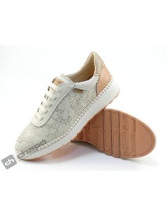 WOC 6621C1 ARENAS