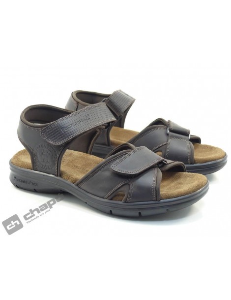 SANDERS BASIC C1