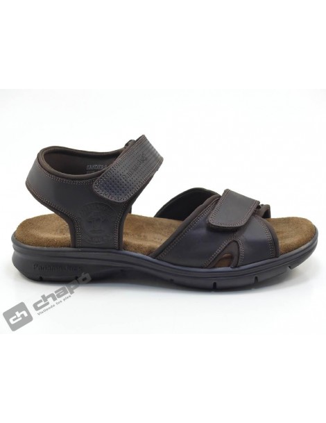 SANDERS BASIC C1