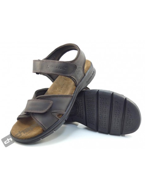 SANDERS BASIC C1