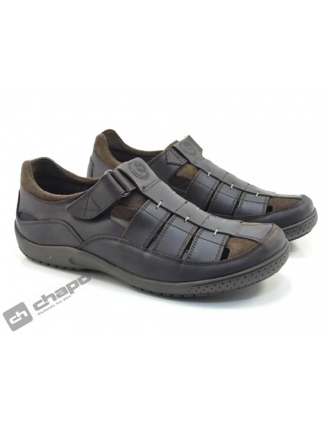 MERIDIAN BASICS C1