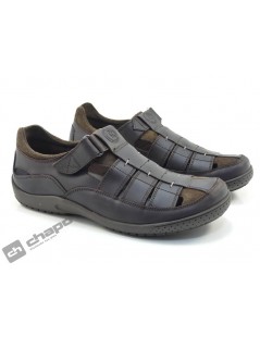 MERIDIAN BASICS C1