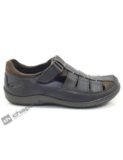MERIDIAN BASICS C1