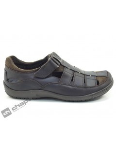 MERIDIAN BASICS C1