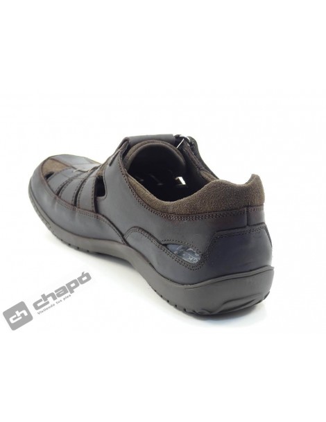MERIDIAN BASICS C1