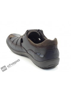 MERIDIAN BASICS C1