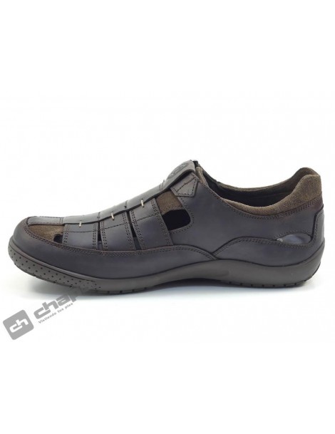 MERIDIAN BASICS C1