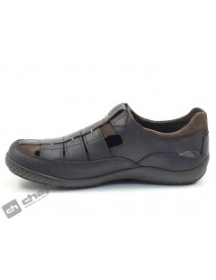 MERIDIAN BASICS C1