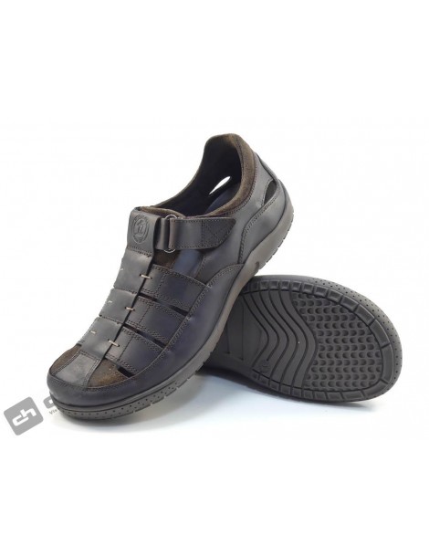 MERIDIAN BASICS C1