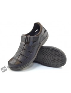 MERIDIAN BASICS C1